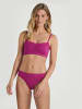 Calida Slip mit Spitzenrändern in Orchid flo