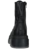 Steve Madden Stiefelette in Schwarz