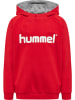 Hummel Hummel Cotton Hoodie Hmlgo Multisport Kinder in TRUE RED