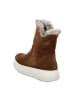 ara Winterboots in Braun