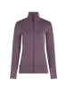 icebreaker Kleider Mer 260 Quantum IV LS Zip in Grau0659