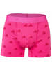 adidas Boxershort 3er Pack in Pink/Schwarz