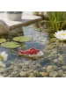 MARELIDA Teichdeko Fisch für Aquarium schwimmend Porzellan L: 10cm in weiß, rot