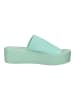 Steve Madden Pantoletten in Sage