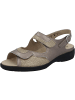 Solidus Sandalen für Damen in taupe