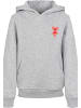 F4NT4STIC Hoodie in heather grey