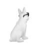 GILDE Figur Cool Dog weiß - (H) 35 cm