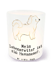 Mr. & Mrs. Panda Windlicht aus Glas Havaneser Lebensretter mit S... in Transparent