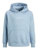 Jack & Jones Kapuzenpullover in Mountain Spring