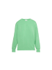 S.OLIVER RED LABEL Sweatshirt in Grün