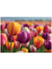 WALLARENA Fototapete Blumen in Bunt