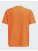 Joy Sportswear T-Shirt VITUS in orange bolt mel