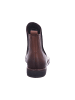 Marco Tozzi Stiefelette in braun