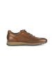 Gabor Sneaker low in braun
