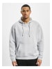 DEF Sweat & Fleece - Hoody in lightgrey