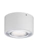 paulmann LED Deckenleuchte Argun