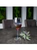 Intirilife Wein Glas Weißwein Rotwein 440ml in Regenbogen Schimmer