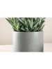 ebuy24 Blumentopf Sane Dunkel Grau 18 x 18 cm