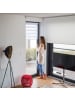 relaxdays Doppelrollo Klemmfix in Weiß - (B)81 x (H)156cm