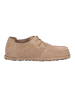 Birkenstock Schnürschuh in taupe