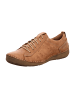 Josef Seibel Komfort Schnürschuhe in Beige