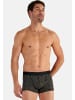 HOM Retro Short / Pant Tom in Schwarz