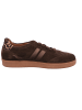 Gabor Sneaker Low in braun