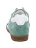 Paul Green Schnürschuhe in wasabi/white