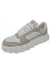 Apple of Eden Sneaker  in Beige