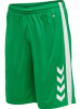 Hummel Hummel Kurze Hose Hmlcore Basketball Erwachsene Schnelltrocknend in JELLY BEAN