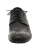 LLOYD Business Schnürschuh in schwarz