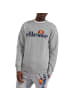 ellesse Sweatshirt in Grau