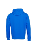 U.S. Polo Assn. Hoodie in Royal173