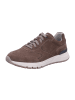 Pius Gabor Sneaker Low in beige