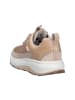 Joya Schnürschuh MAUI STX BEIGE in beige