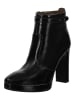 Nero Giardini Stiefelette in Schwarz Lack