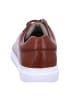 Pius Gabor Sneaker Low in Braun