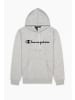 Champion Hoodie Hooded Sweatshirt in Hellgrau