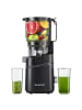 amzchef AMZCHEF SJ-036CBK Slow Juicer (schwarz)