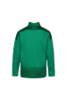 Puma Sweatshirt teamGOAL 23 in grün / dunkelgrün