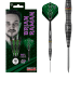 BULLS Steeldarts Brian Raman Dartpfeile Darts-Set Profi in green arrow