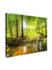 MuchoWow Leinwand bilder Waldlicht (BxH)