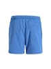Jack & Jones Badeshorts 1er Pack in Blau/Grün