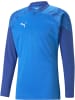 Puma T-Shirt "TeamCUP Training 1/4 Zip Top" in Blau