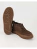 Clarks Stiefeletten in Braun