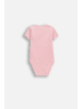 Coccodrillo Geripptes body mit kurzen ärmeln in gedämpftes Rosa