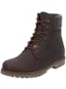 PANAMA JACK Winterstiefel in Napa Grass Castano/Chestnut