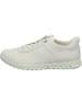 Ecco Sneaker für Damen in weiß