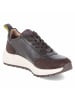 SALAMANDER Low Sneaker in braun