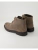 Geox Stiefeletten in Grau